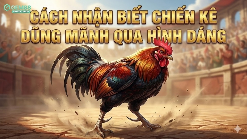 cach-nhan-biet-chien-ke-dung-manh-qua-hinh-dang