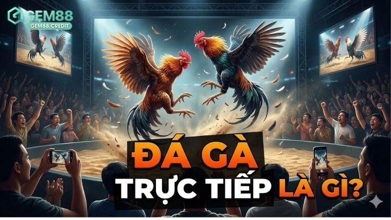 da-ga-truc-tiep-la-gi